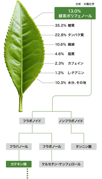 べにふうきフレーバーティーの成分
